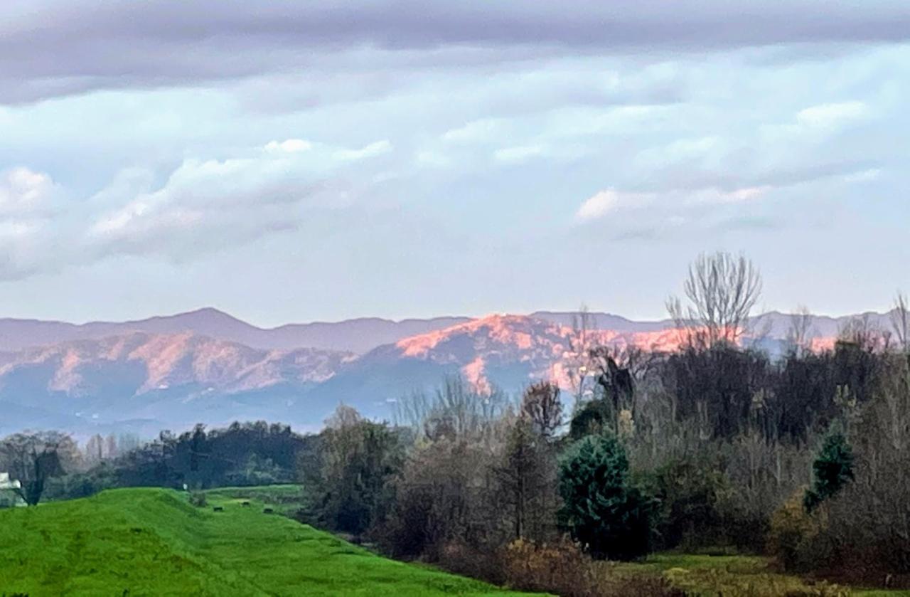 La Dimora Di Corte Lucca Eksteriør billede